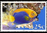 Seychelles 2003 - set Fishes: 25 c