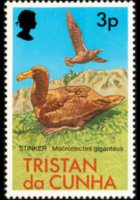 Tristan da Cunha 1977 - serie Uccelli: 3 p