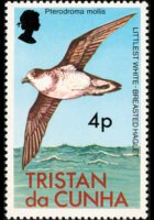 Tristan da Cunha 1977 - serie Uccelli: 4 p