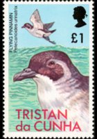 Tristan da Cunha 1977 - serie Uccelli: 1 £