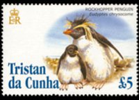 Tristan da Cunha 2005 - set Birds: 5 £