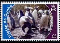 Tristan da Cunha 2010 - set Conservation: 5 $