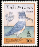 Turks e Caicos 1995 - serie Uccelli: 10 c