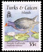 Turks and Caicos Islands 1995 - set Birds: 35 c