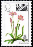 Turks and Caicos Islands 1990 - set Flowers: 8 c