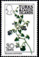 Turks and Caicos Islands 1990 - set Flowers: 30 c