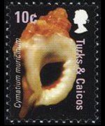 Turks and Caicos Islands 2007 - set Shells: 10 c