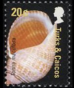 Turks and Caicos Islands 2007 - set Shells: 20 c