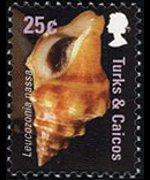 Turks and Caicos Islands 2007 - set Shells: 25 c