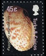 Turks and Caicos Islands 2007 - set Shells: 45 c