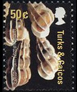 Turks and Caicos Islands 2007 - set Shells: 50 c