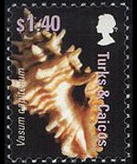 Turks and Caicos Islands 2007 - set Shells: 1,40 $