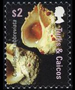 Turks and Caicos Islands 2007 - set Shells: 2 $