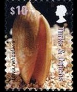 Turks and Caicos Islands 2007 - set Shells: 10 $