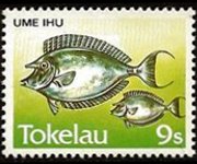 Tokelau 1984 - set Fishes: 9 s