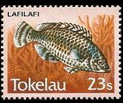 Tokelau 1984 - set Fishes: 23 s