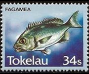 Tokelau 1984 - set Fishes: 34 s