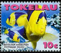 Tokelau 2007 - set Marine life: 10 c