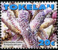 Tokelau 2007 - set Marine life: 20 c