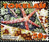 Tokelau 2007 - serie Vita marina: 50 c