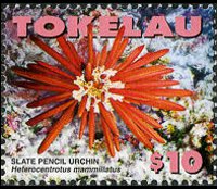 Tokelau 2007 - set Marine life: 10 $