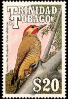 Trinidad e Tobago 1990 - serie Uccelli: 20 $