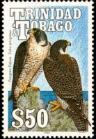Trinidad e Tobago 1990 - serie Uccelli: 50 $