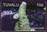 Tuvalu 2006 - set Corals: 10 c