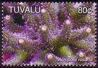 Tuvalu 2006 - set Corals: 80 c