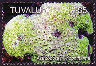 Tuvalu 2006 - set Corals: $ 5