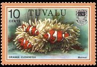 Tuvalu 1979 - serie Pesci: 10 c