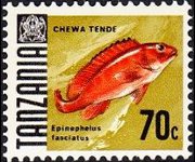 Tanzania 1967 - serie Pesci: 70 c