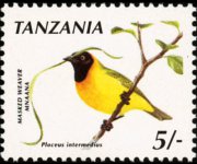 Tanzania 1990 - serie Uccelli: 5 sh