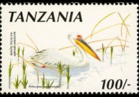 Tanzania 1990 - serie Uccelli: 100 sh
