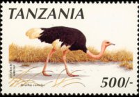 Tanzania 1990 - serie Uccelli: 500 sh