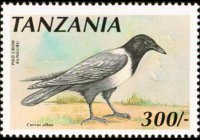 Tanzania 1990 - serie Uccelli: 300 sh