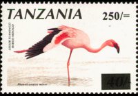 Tanzania 1990 - serie Uccelli: 250 sh su 40 sh