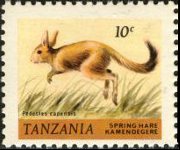 Tanzania 1980 - serie Animali: 10 c
