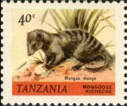 Tanzania 1980 - serie Animali: 40 c