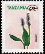 Tanzania 1996 - serie Fiori: 200 sh
