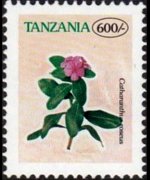 Tanzania 1996 - serie Fiori: 600 sh