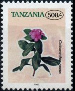 Tanzania 1996 - set Flowers: 500 sh