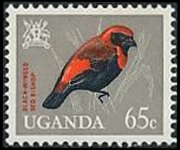 Uganda 1965 - serie Uccelli: 65 c
