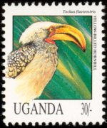 Uganda 1992 - serie Uccelli: 30 sh