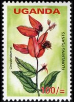 Uganda 2005 - set Flowers: 100 sh