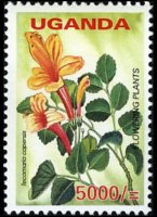 Uganda 2005 - set Flowers: 5000 sh