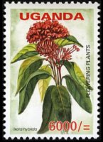 Uganda 2005 - set Flowers: 6000 sh