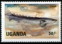 Uganda 1985 - set Fishes: 50 sh