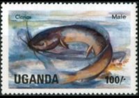 Uganda 1985 - set Fishes: 100 sh