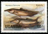 Uganda 1985 - set Fishes: 135 sh